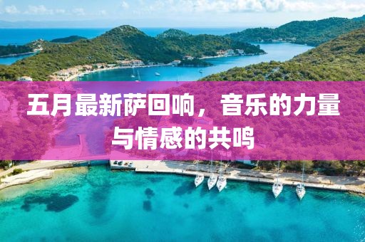 五月最新薩回響，音樂的力量與情感的共鳴