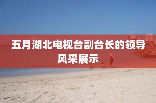 五月湖北電視臺(tái)副臺(tái)長的領(lǐng)導(dǎo)風(fēng)采展示