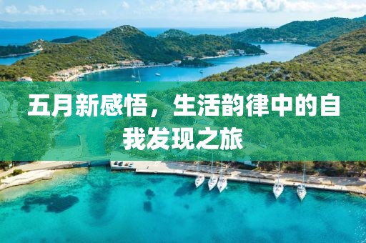 五月新感悟，生活韻律中的自我發(fā)現(xiàn)之旅