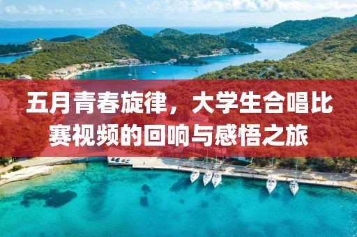 五月青春旋律，大學生合唱比賽視頻的回響與感悟之旅