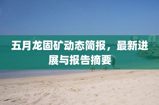 五月龍固礦動(dòng)態(tài)簡(jiǎn)報(bào)，最新進(jìn)展與報(bào)告摘要