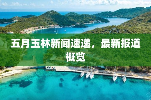 五月玉林新聞速遞，最新報(bào)道概覽