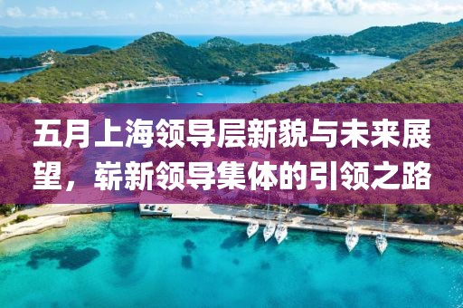 五月上海領(lǐng)導(dǎo)層新貌與未來(lái)展望，嶄新領(lǐng)導(dǎo)集體的引領(lǐng)之路