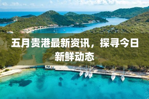 五月貴港最新資訊，探尋今日新鮮動態(tài)