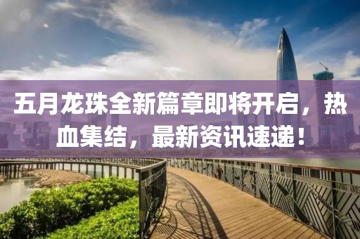 五月龍珠全新篇章即將開啟，熱血集結(jié)，最新資訊速遞！