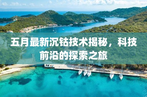 五月最新沉鈷技術(shù)揭秘，科技前沿的探索之旅