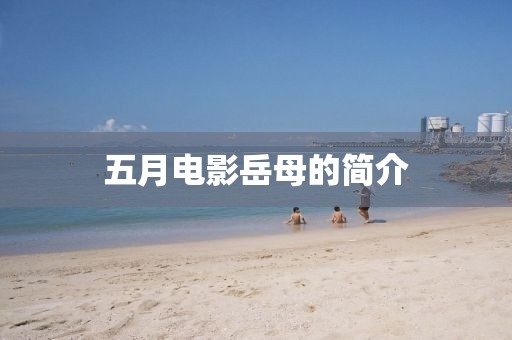 五月電影岳母的簡介
