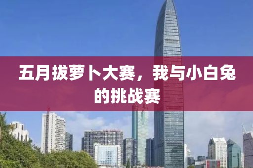 五月拔蘿卜大賽，我與小白兔的挑戰(zhàn)賽