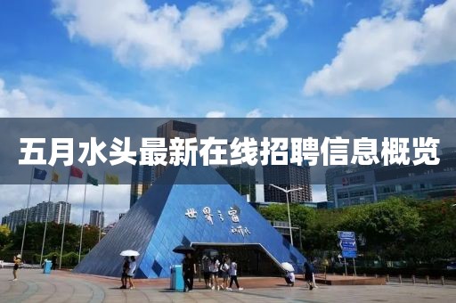 五月水頭最新在線招聘信息概覽