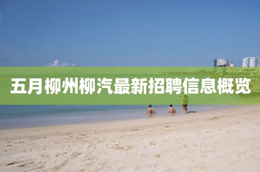 五月柳州柳汽最新招聘信息概覽