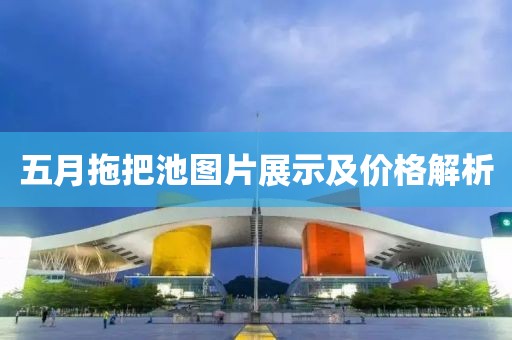 五月拖把池圖片展示及價格解析