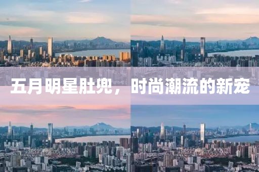 五月明星肚兜，時(shí)尚潮流的新寵