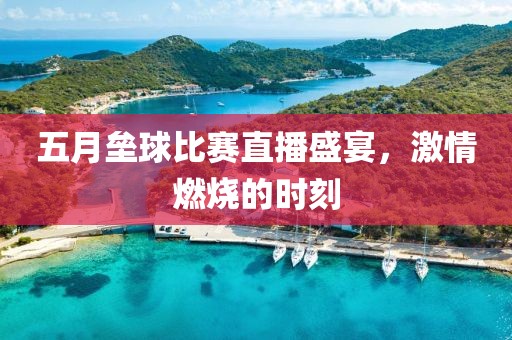 五月壘球比賽直播盛宴，激情燃燒的時刻