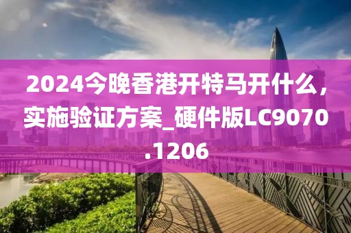 2024今晚香港開特馬開什么，實施驗證方案_硬件版LC9070.1206