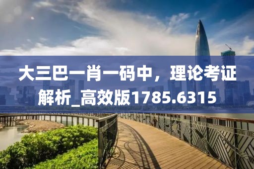 大三巴一肖一碼中，理論考證解析_高效版1785.6315