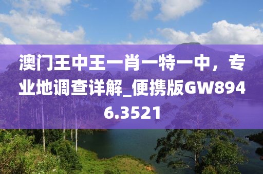 澳門王中王一肖一特一中，專業(yè)地調(diào)查詳解_便攜版GW8946.3521