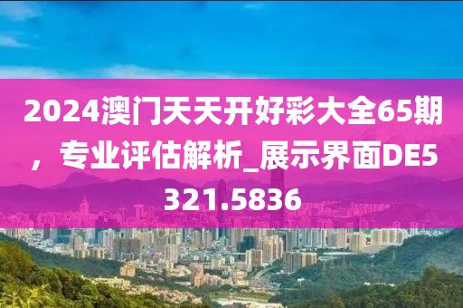 2024澳門天天開好彩大全65期，專業(yè)評估解析_展示界面DE5321.5836
