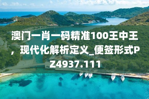 澳門一肖一碼精準(zhǔn)100王中王，現(xiàn)代化解析定義_便簽形式PZ4937.111