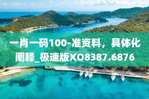 一肖一碼100-準(zhǔn)資料，具體化闡釋_極速版XO8387.6876