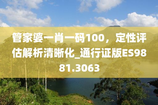 管家婆一肖一碼100，定性評估解析清晰化_通行證版ES9881.3063