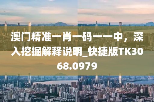 澳門精準一肖一碼一一中，深入挖掘解釋說明_快捷版TK3068.0979