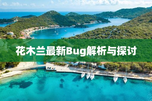 花木蘭最新Bug解析與探討