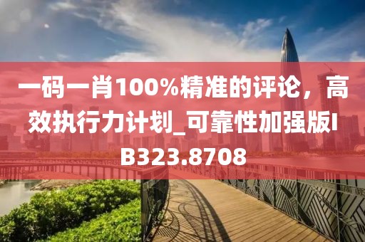 一碼一肖100%精準(zhǔn)的評(píng)論，高效執(zhí)行力計(jì)劃_可靠性加強(qiáng)版IB323.8708