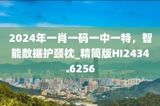 2024年一肖一碼一中一特，智能數(shù)據(jù)護頸枕_精簡版HI2434.6256