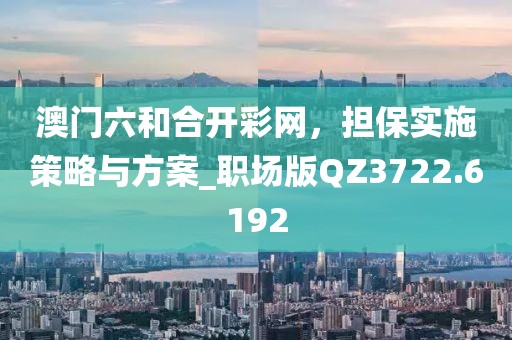 澳門六和合開彩網，擔保實施策略與方案_職場版QZ3722.6192