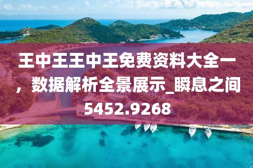 王中王王中王免費(fèi)資料大全一，數(shù)據(jù)解析全景展示_瞬息之間5452.9268