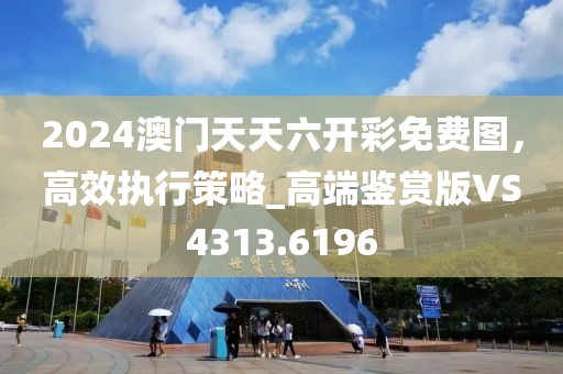 2024澳門天天六開彩免費(fèi)圖，高效執(zhí)行策略_高端鑒賞版VS4313.6196