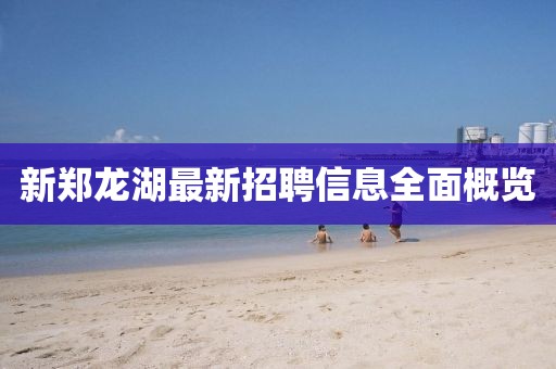 新鄭龍湖最新招聘信息全面概覽