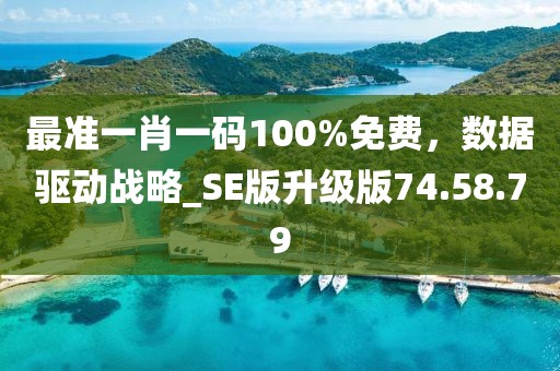 最準(zhǔn)一肖一碼100%免費(fèi)，數(shù)據(jù)驅(qū)動(dòng)戰(zhàn)略_SE版升級(jí)版74.58.79