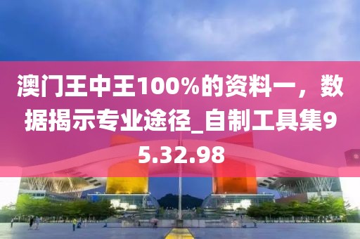 澳門王中王100%的資料一，數(shù)據(jù)揭示專業(yè)途徑_自制工具集95.32.98