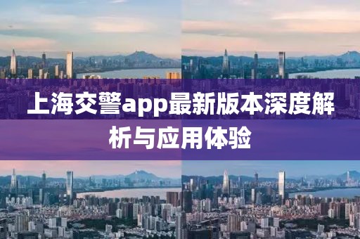 上海交警app最新版本深度解析與應(yīng)用體驗(yàn)