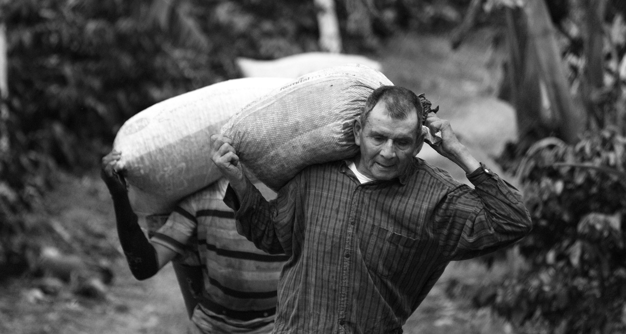 電改最新動態(tài)，推動能源轉(zhuǎn)型，助力可持續(xù)發(fā)展