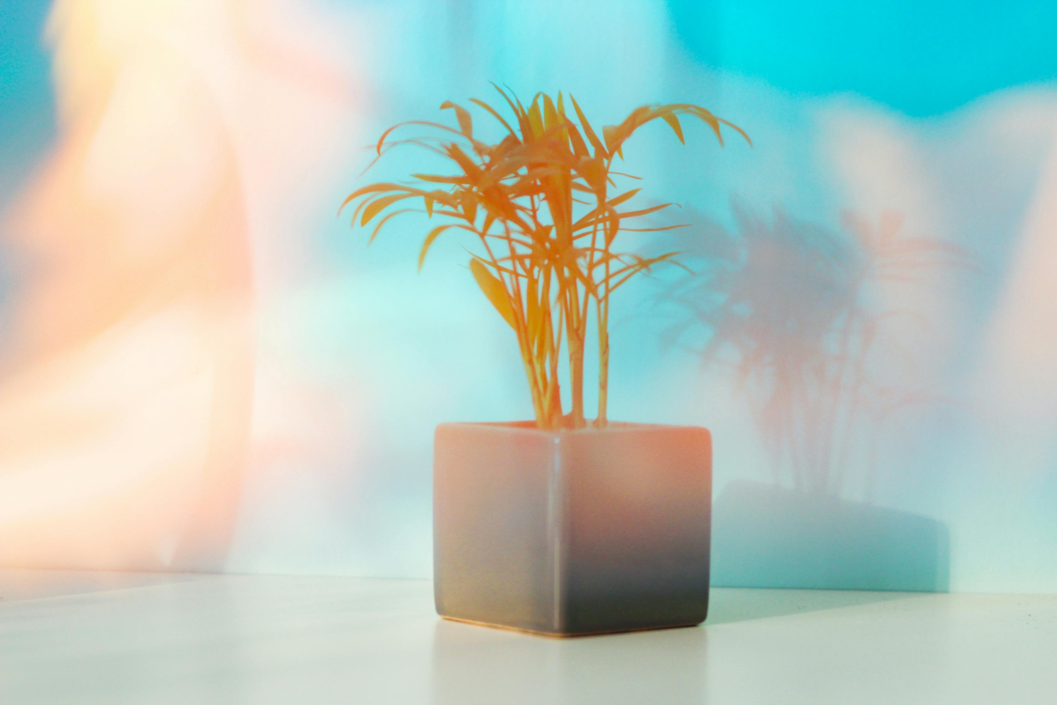 追求卓越，創(chuàng)造無(wú)限可能，2017狠狠干最新版展望