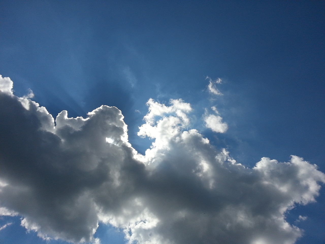 阮孝應(yīng)新篇章揭秘，最新動(dòng)態(tài)與消息速遞