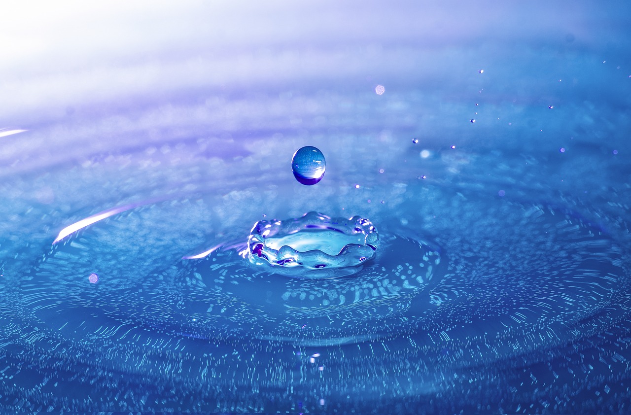 厭人心 第40頁(yè)