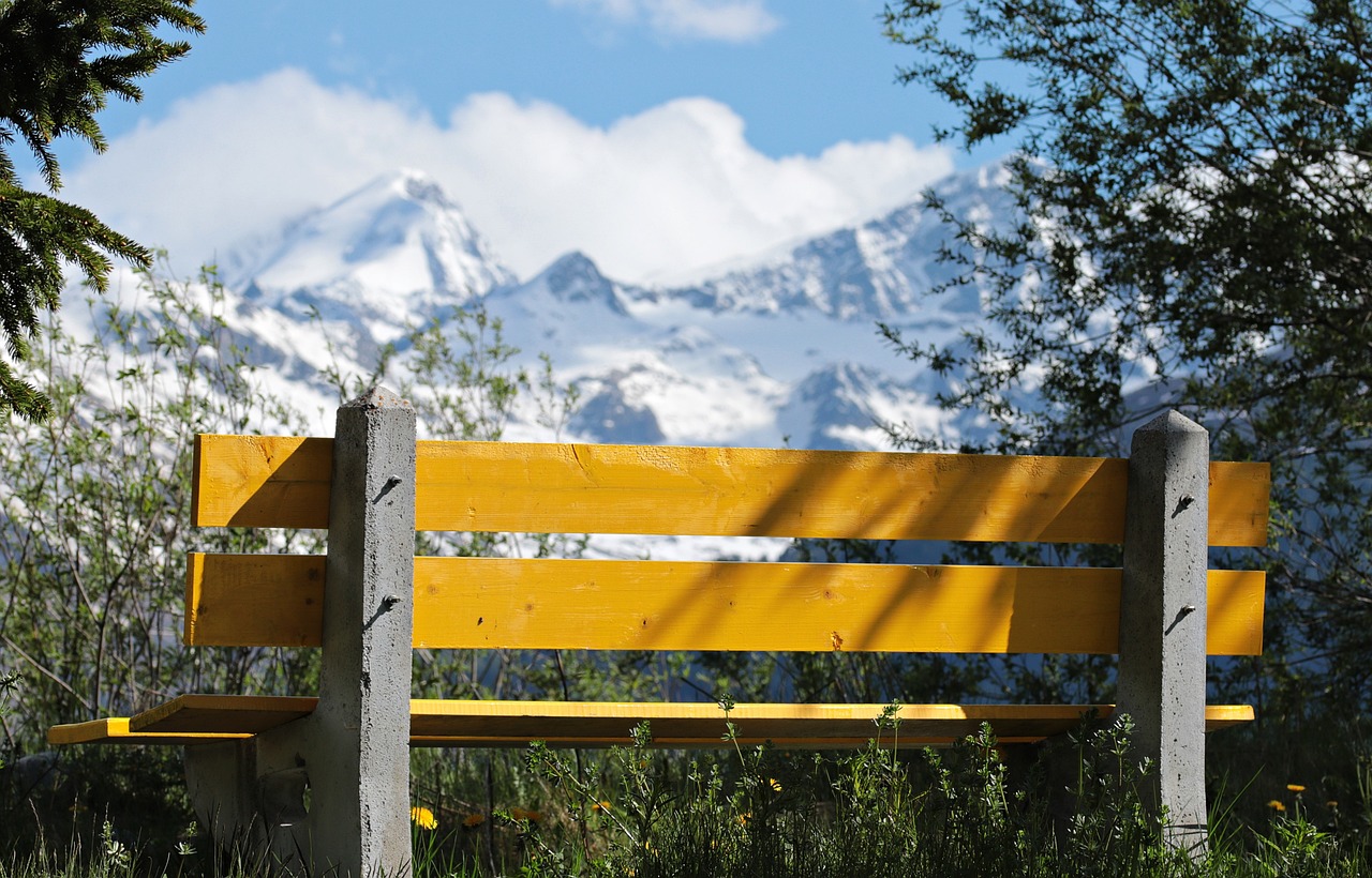 中印高鐵項目最新動態(tài)，合作進展、挑戰(zhàn)與前景展望