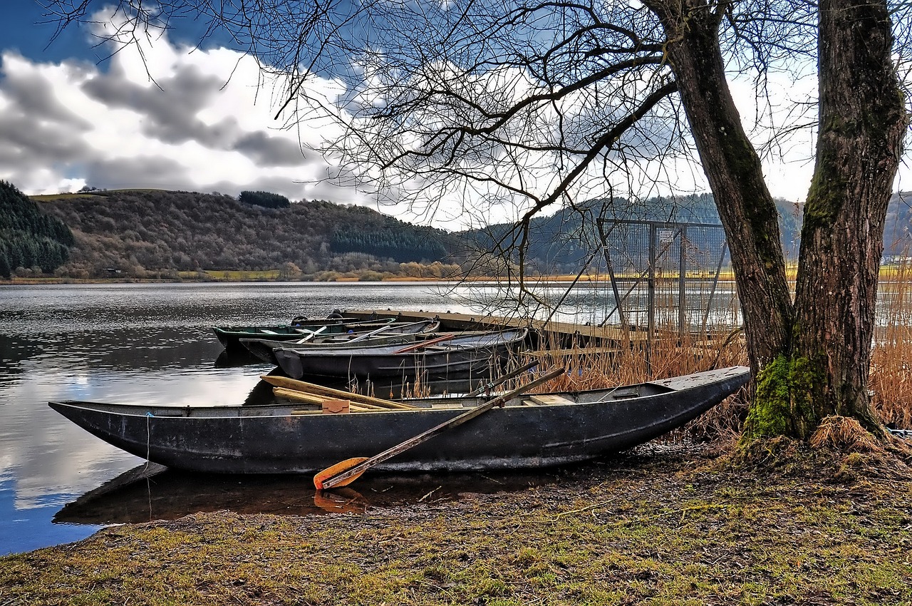 2015年油補(bǔ)政策調(diào)整與市場(chǎng)動(dòng)態(tài)最新消息