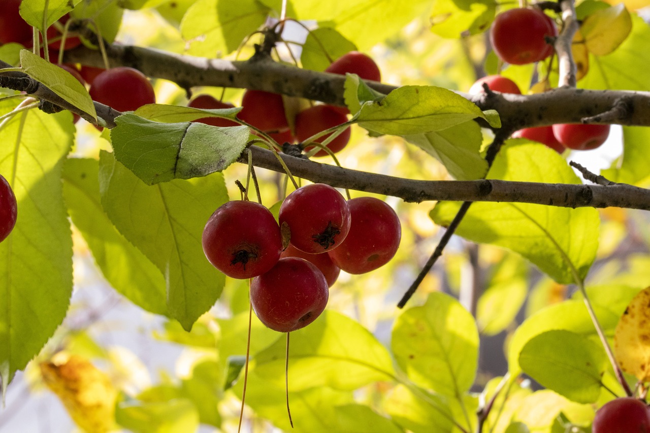 難深擁 第40頁(yè)