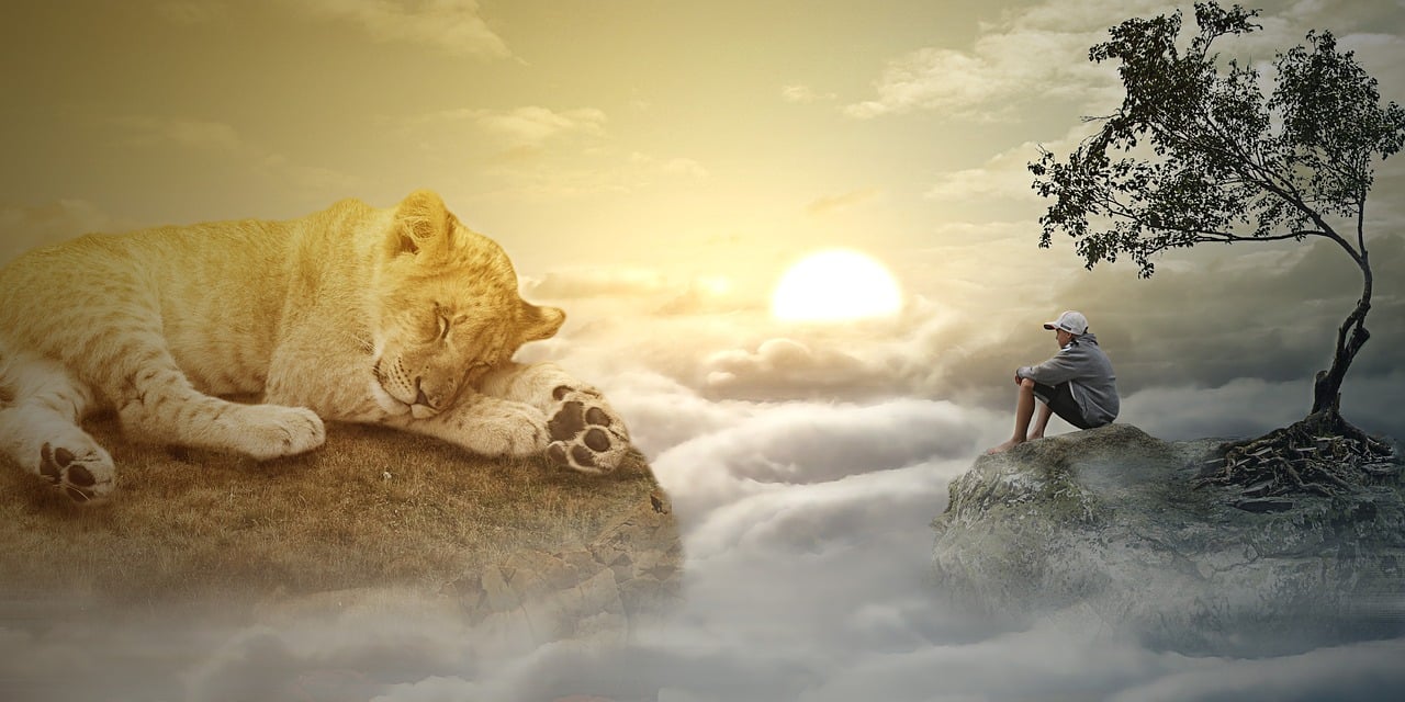 最新念佛感應(yīng)，探索內(nèi)心奧秘與外在奇跡的體驗(yàn)