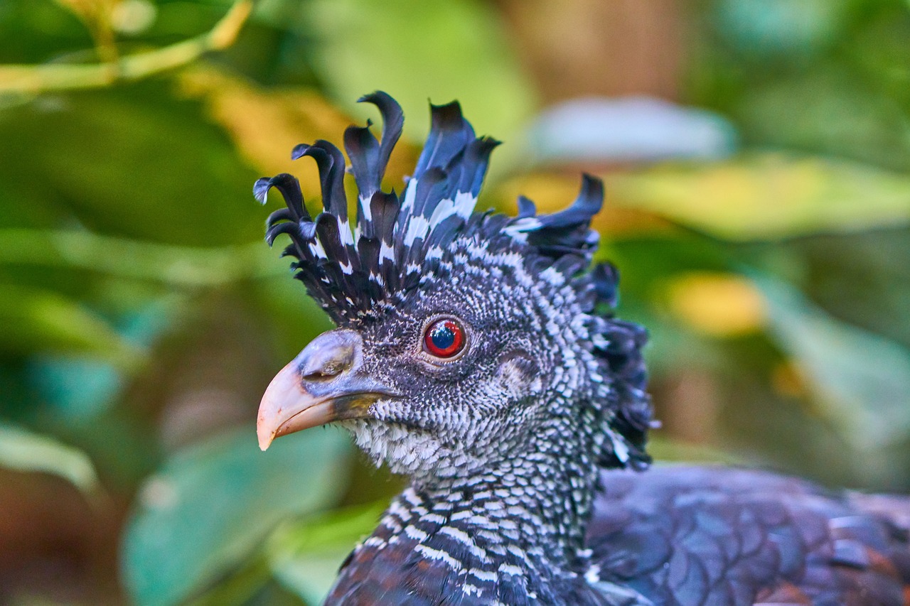 全球熱帶氣旋最新動態(tài)，影響及應(yīng)對策略揭秘