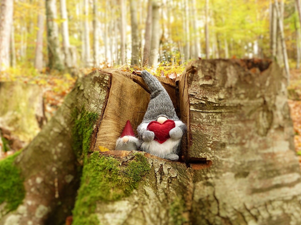 小螞蟻的奇妙冒險之旅，最新幼兒故事精選