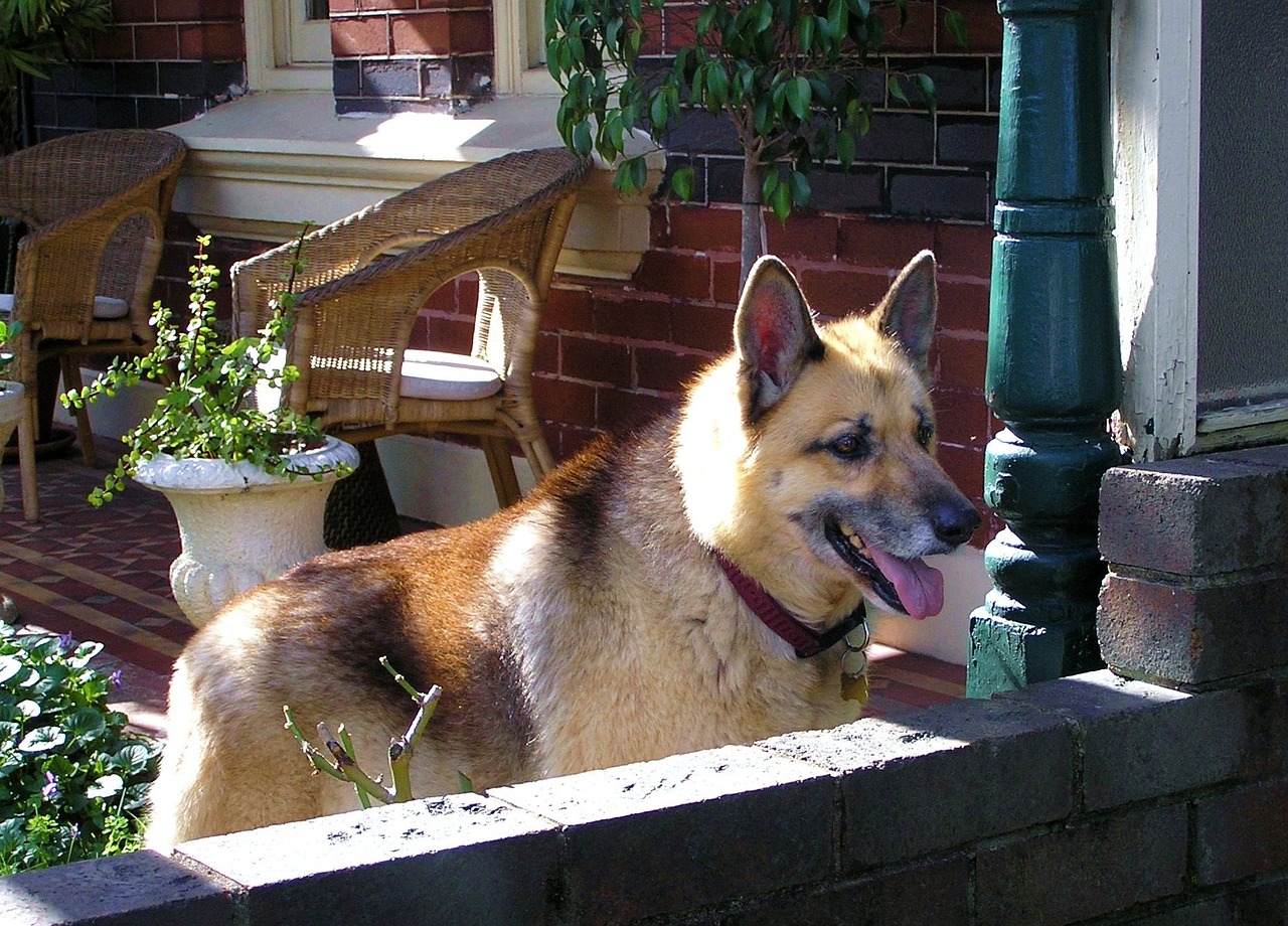 珍珠港最新動態(tài)，歷史與現(xiàn)代的交匯點觀察