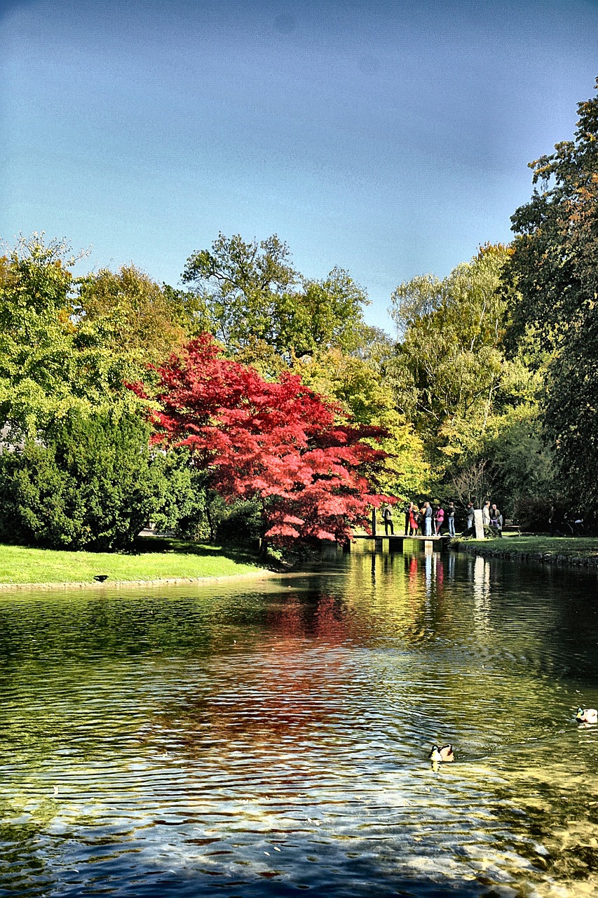 老余杭南湖最新動(dòng)態(tài)，城市發(fā)展與綠色生態(tài)的和諧共舞