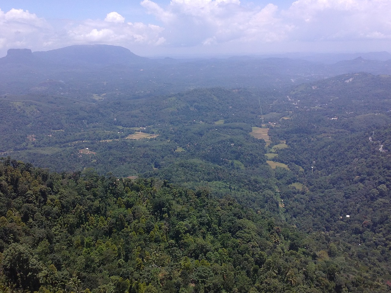 新澳門大眾網(wǎng)官網(wǎng)開獎，專業(yè)地調(diào)查詳解_桌面款GR9388.0063