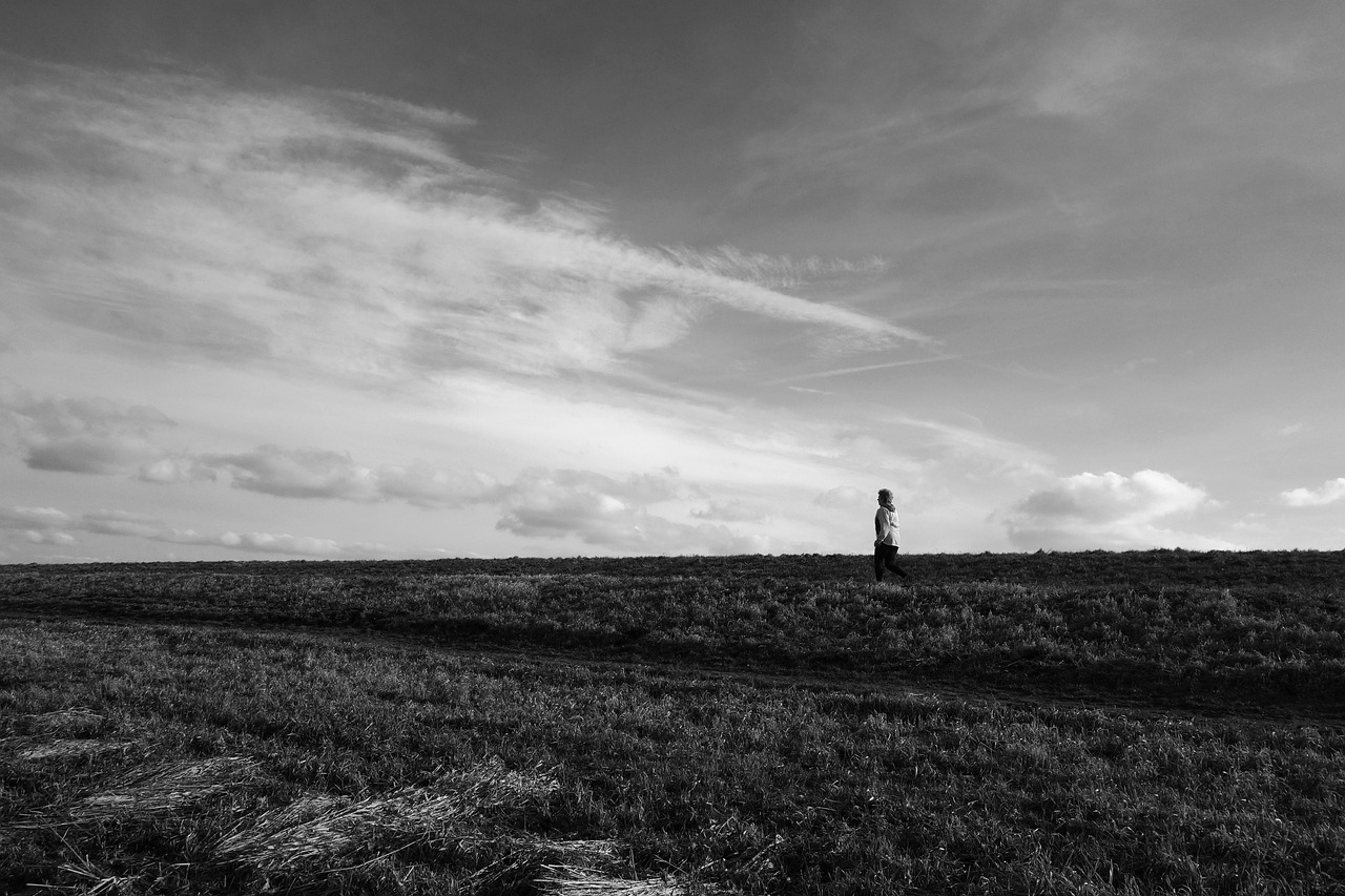 鄒平最新招聘動態(tài)發(fā)布，共創(chuàng)未來機遇時刻