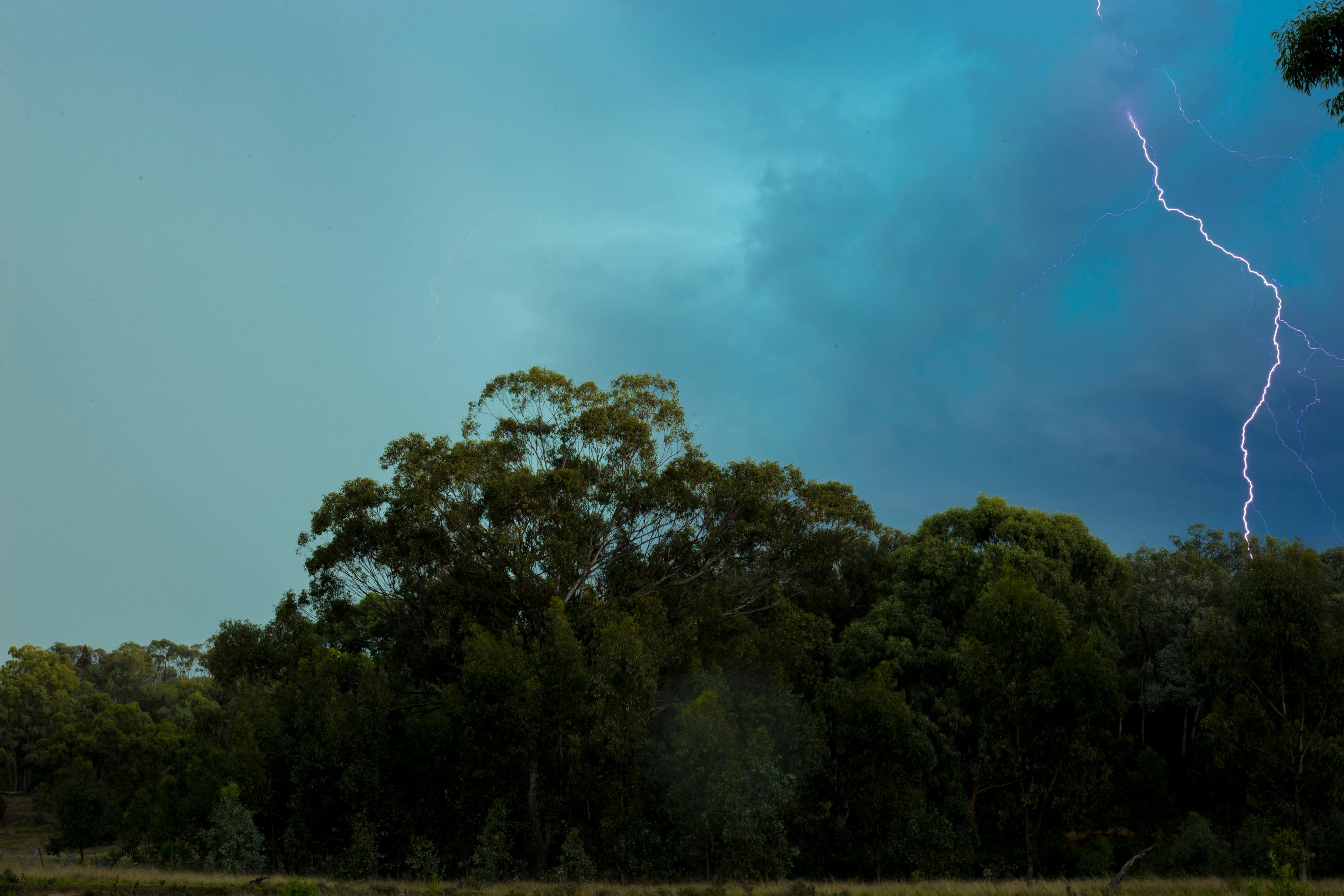 張麗莉最新動(dòng)態(tài)，英雄教師的新征程與挑戰(zhàn)